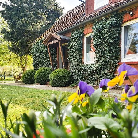 Am Alten Haus Altenmedingen Exterior foto