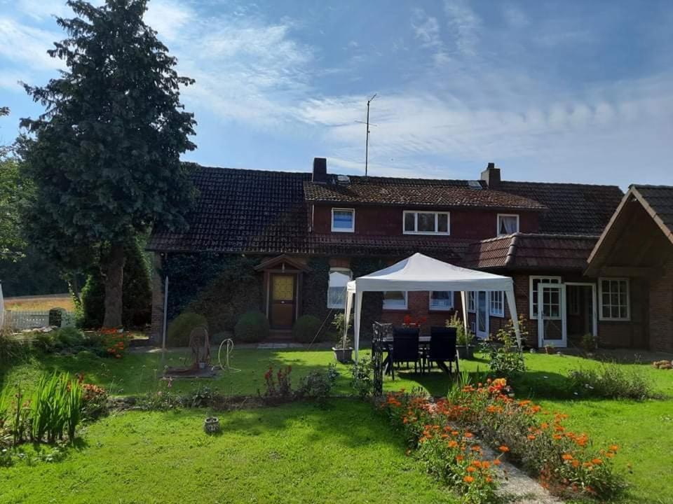 Am Alten Haus Altenmedingen Exterior foto